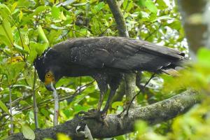 Sundarban Maa Mamatamayee Tour and Travels