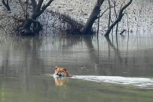 Sundarban Maa Mamatamayee Tour and Travels