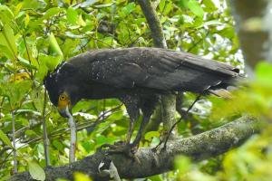Sundarban Maa Mamatamayee Tour and Travels